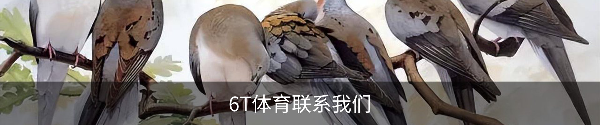 内页banner
