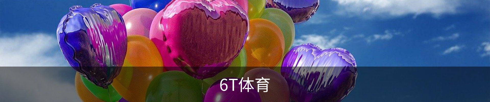 6T体育